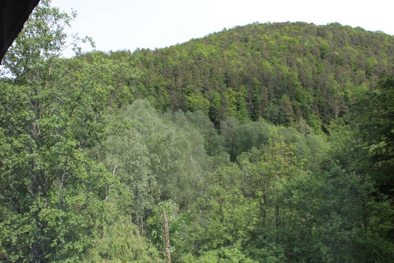 Pension Waldhof Am Stubenbergsee Zewnętrze zdjęcie